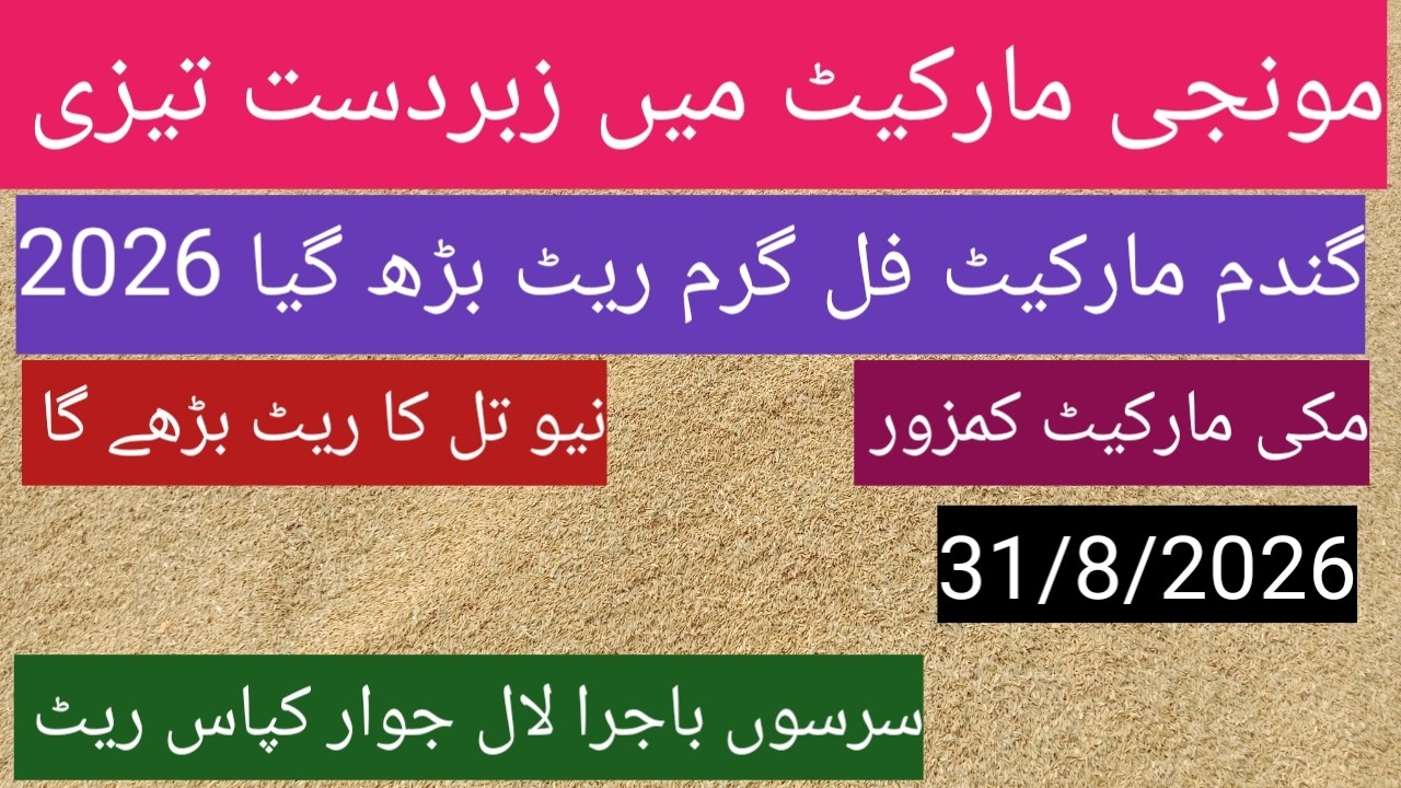 Today wheat price in Punjab 2026| dhan price today| maki till sarso bajra| Ghalla Mandi rate today