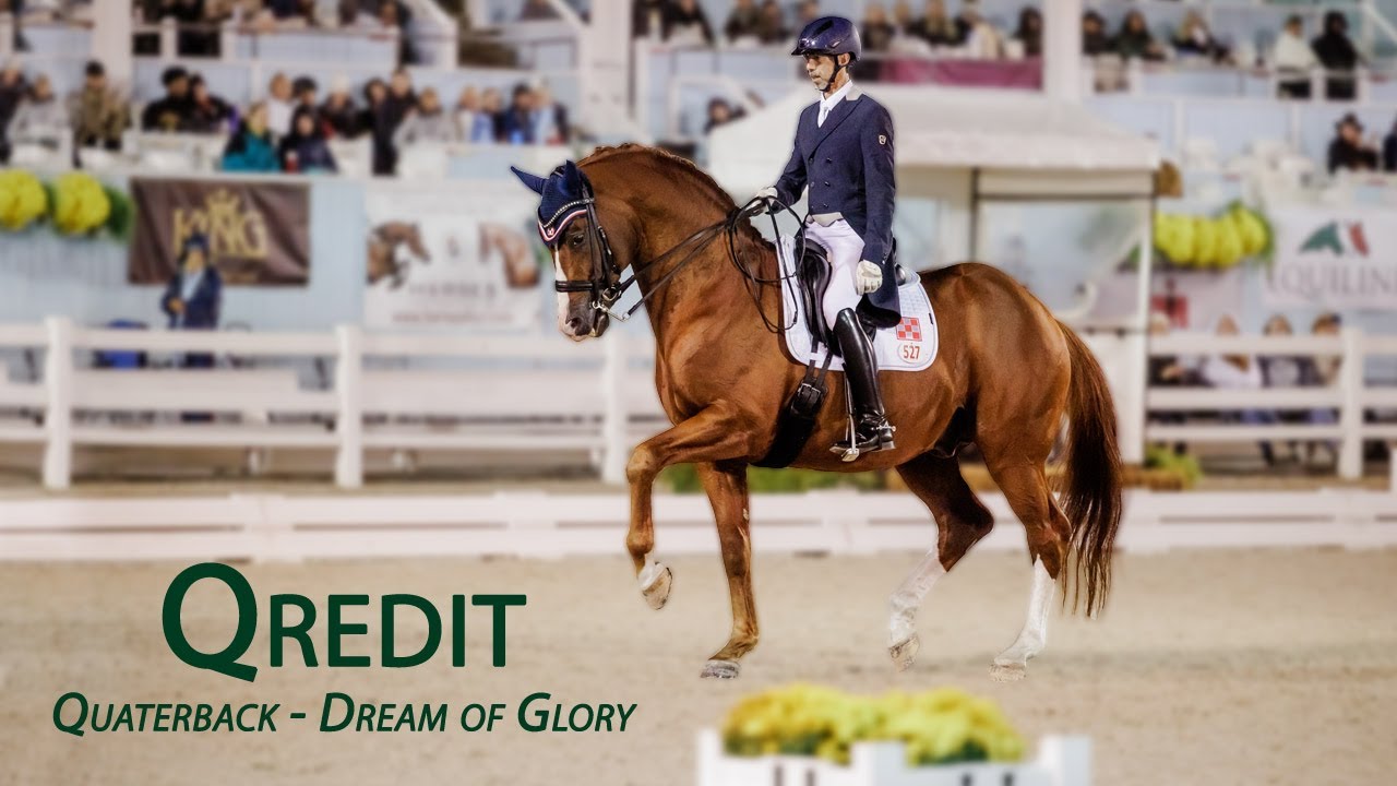 Qredit (Quaterback - Dream of Glory), Champion of 70-day Test, USDF Horse of the Year