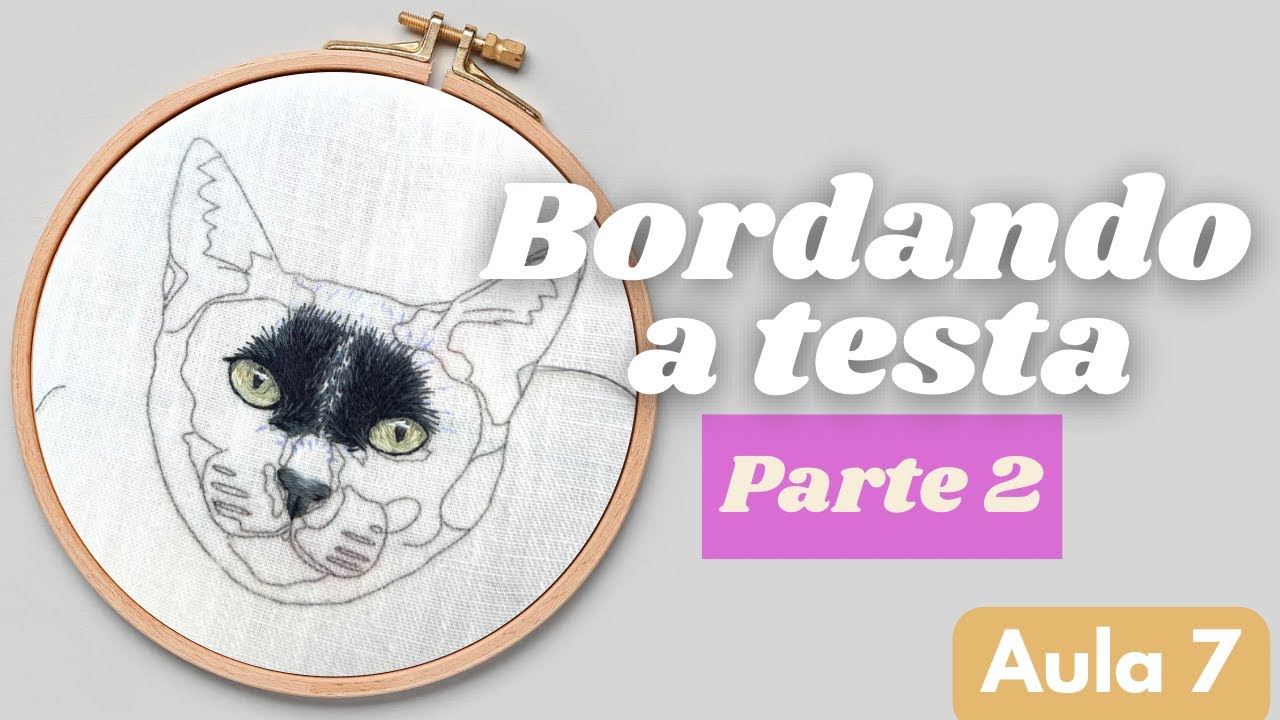 Comece a Bordar o Gatinho - Testa pt. 2