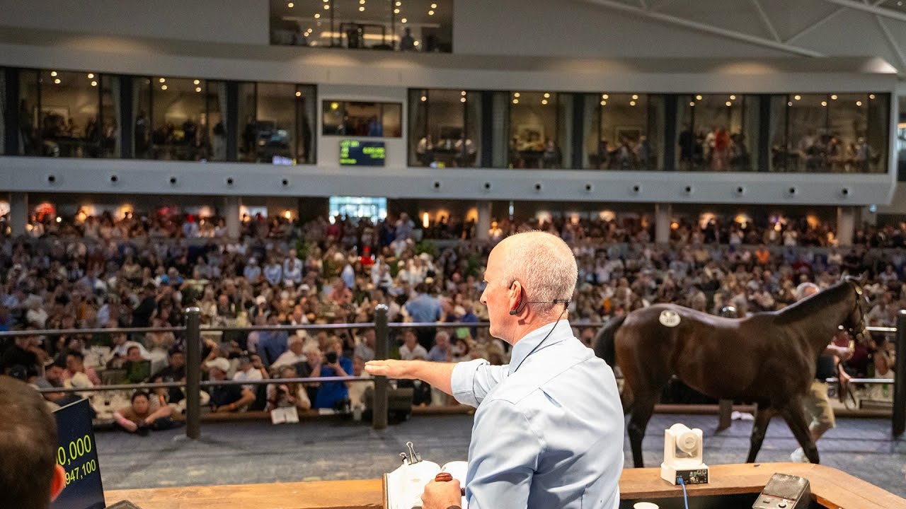 2025 Inglis Yearling Sale Series