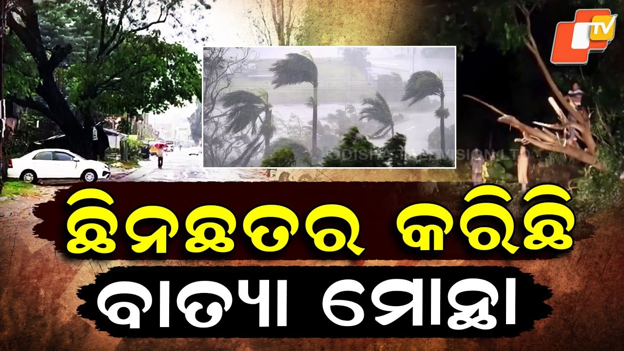 Special Story: Cyclone Montha's Devastating Impact on Andhra Pradesh