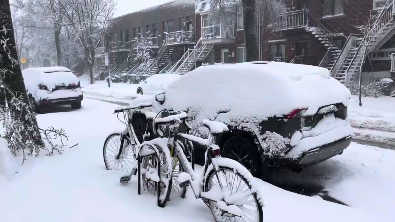 Vivre à Montréal 🐿️ : notre année en PVT Canada 🇨🇦