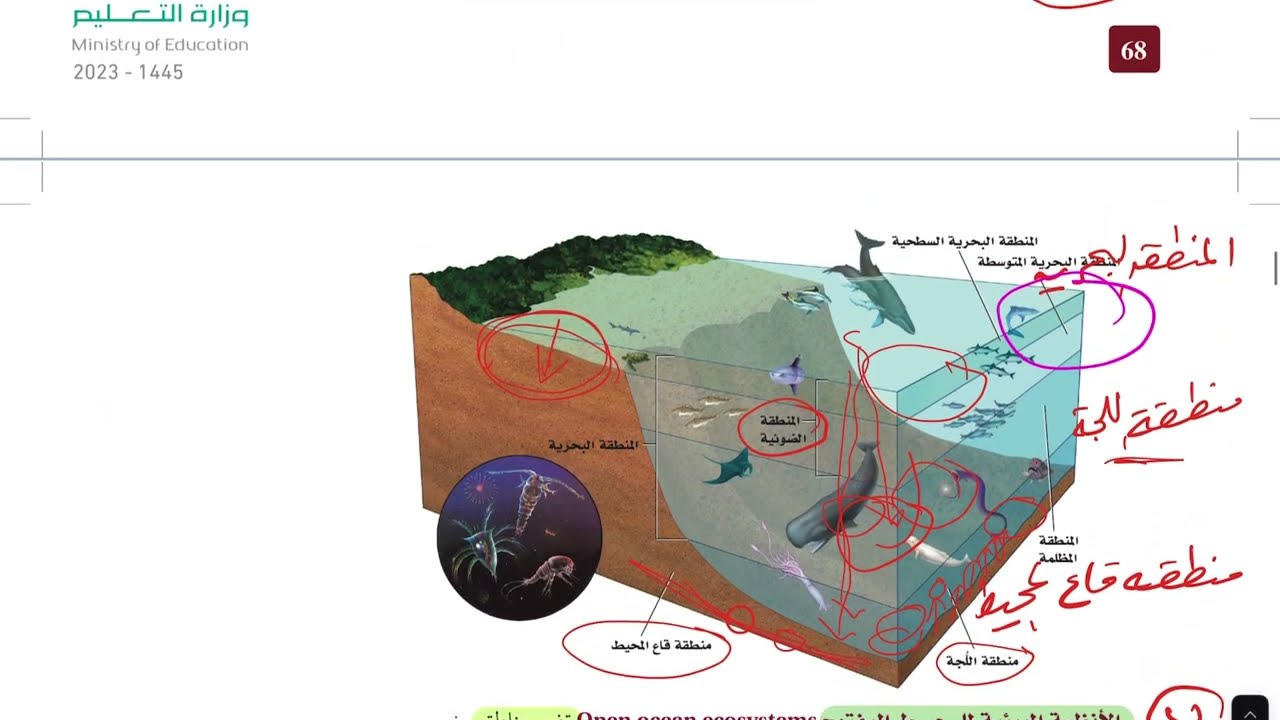 الأنظمة البيئية المائية2 ( علم البيئة 1446 )