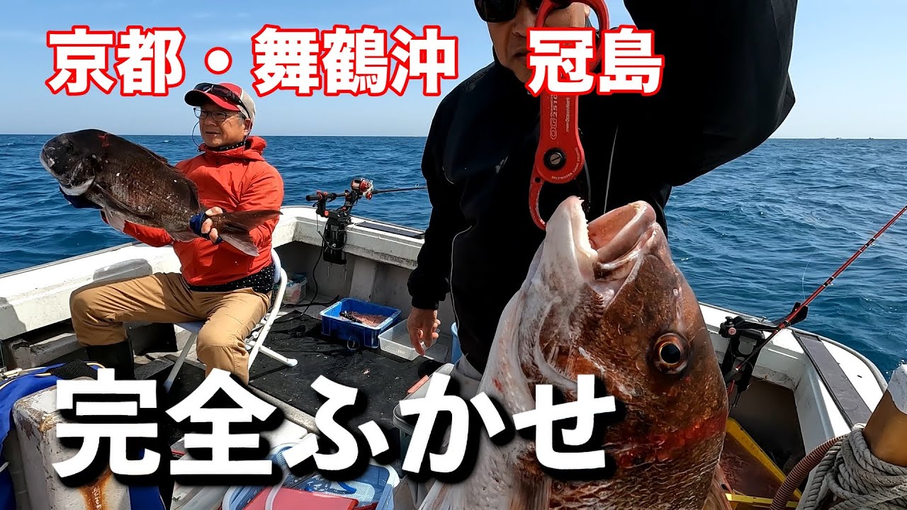 京都・舞鶴沖　冠島　春の大鯛ヒラマサ爆釣
