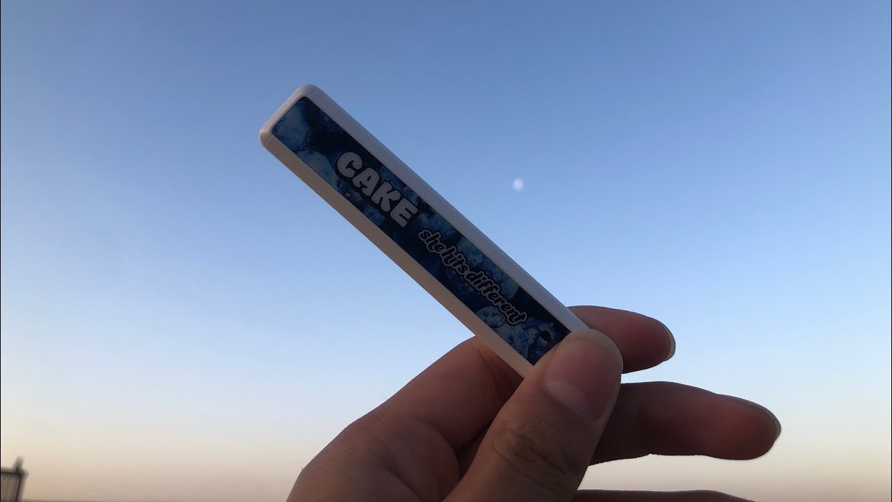 New Cake Disposable? | Cake Blueberry | Review