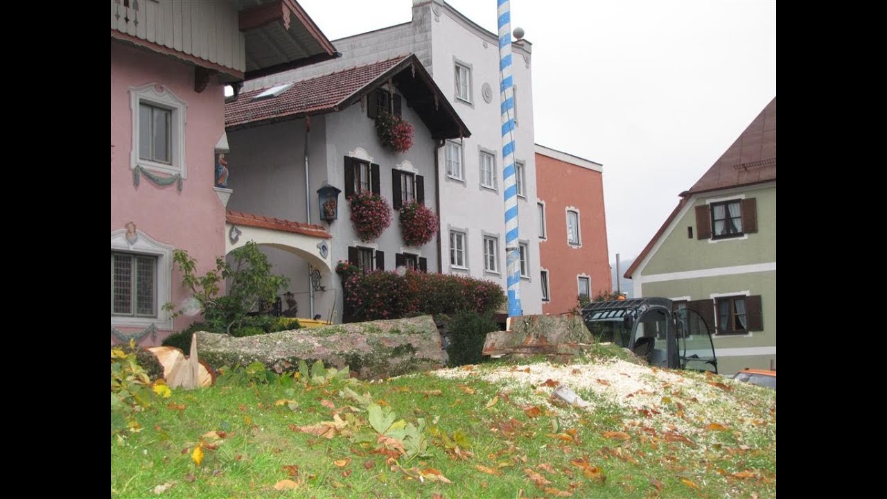 Neubeuern: Kastanien dem Erdboden gleich gemacht