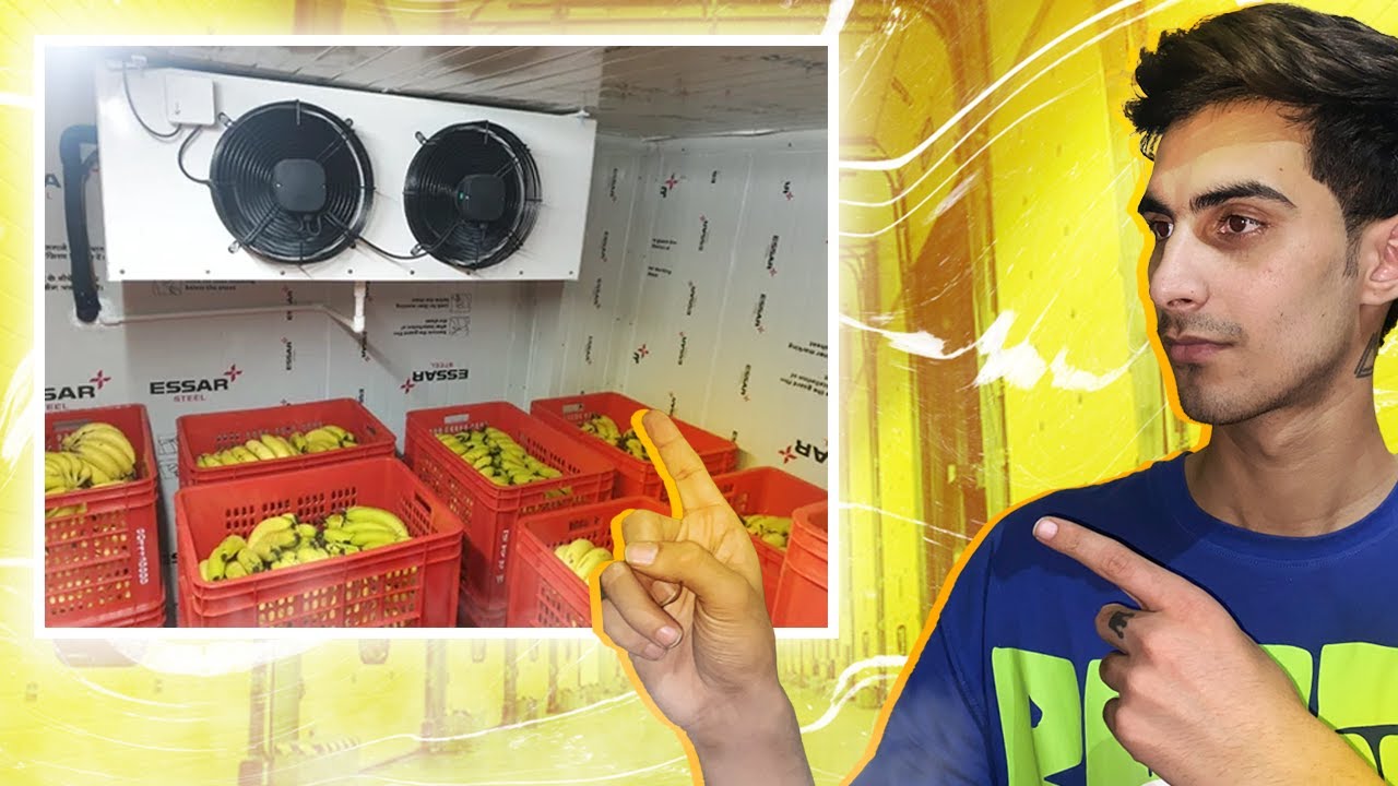 Inside a Banana Cold Storage Place 🍌