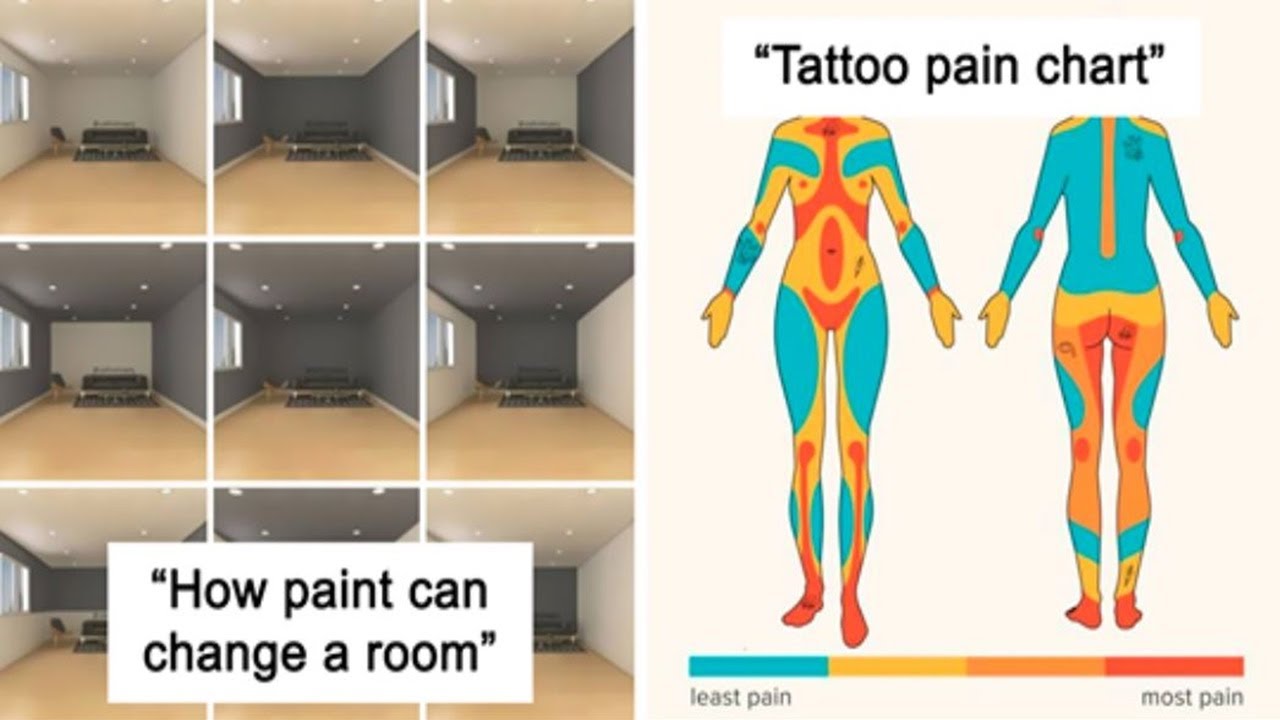 ‘Cool Guides’ You Won't Learn In Your School | Memes Time