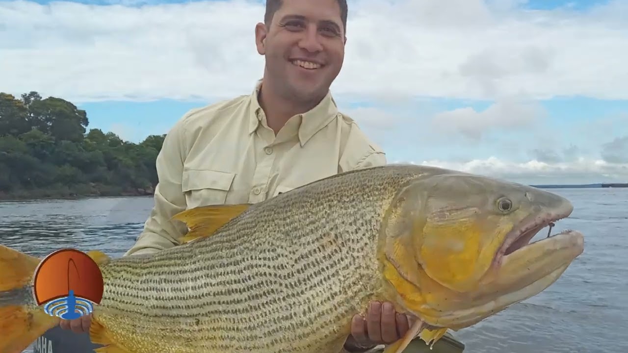 GRANDES DORADOS EN SALTO CHICO CONCORDIA, GUIA @pescandocongerman tel +54 9 345 403-8120.