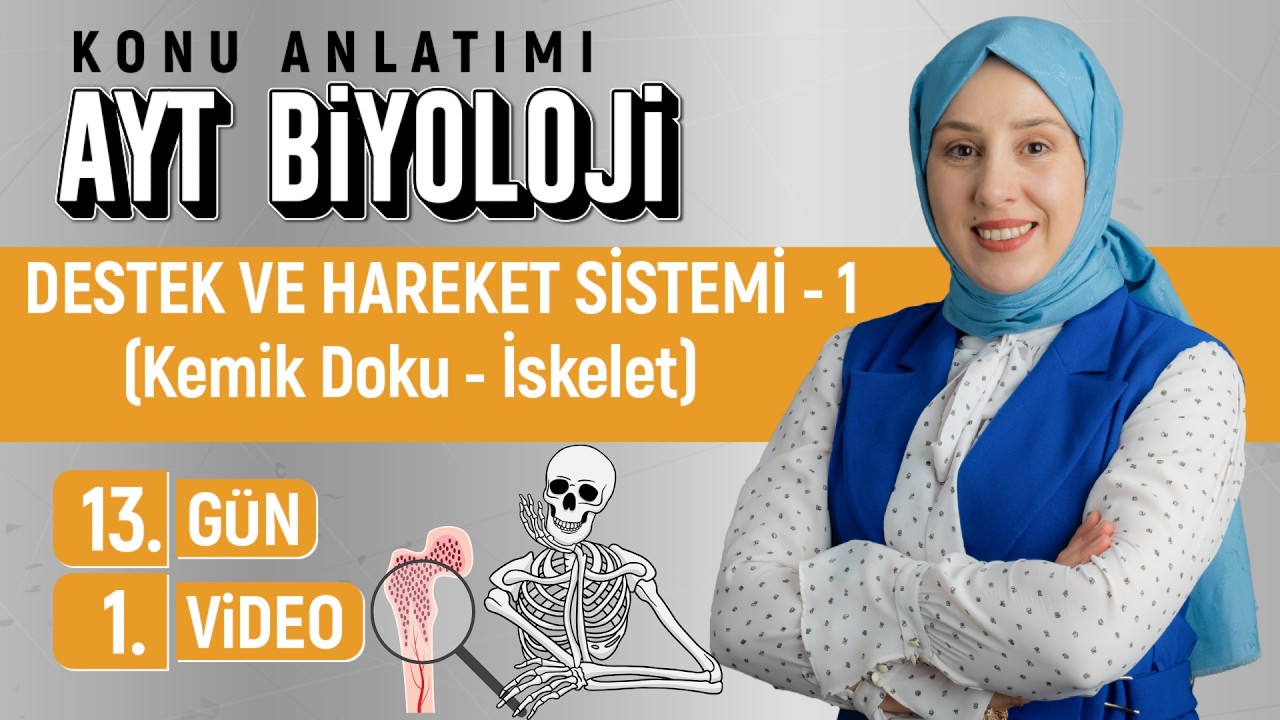 Destek Hareket Sistemi - 1(Kemik doku ve iskeletimiz) - 13.Gün - 1.Video|50 Günde AYT Biyoloji Kampı