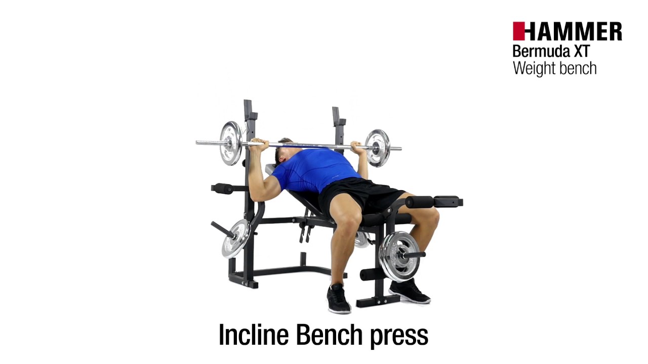Weight Bench | Bermuda XT | HAMMER