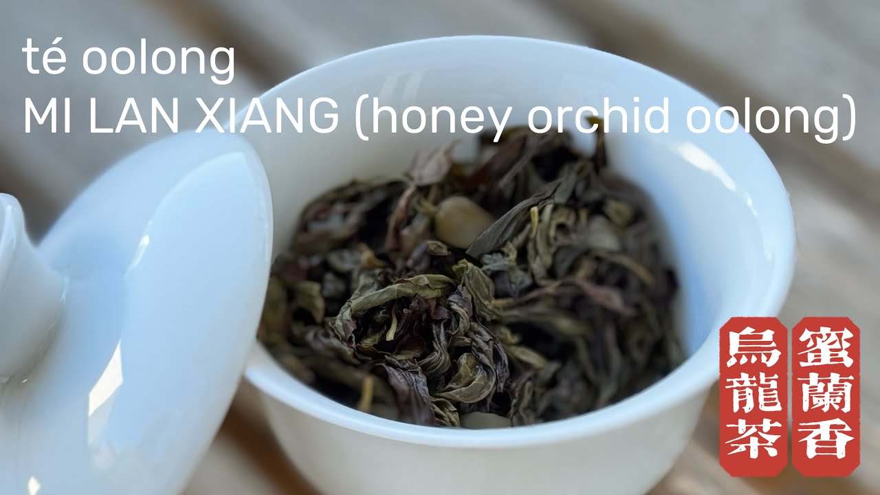 Cómo preparar té oolong Mi Lan Xiang (Phoenix Honey Orchid Oolong)