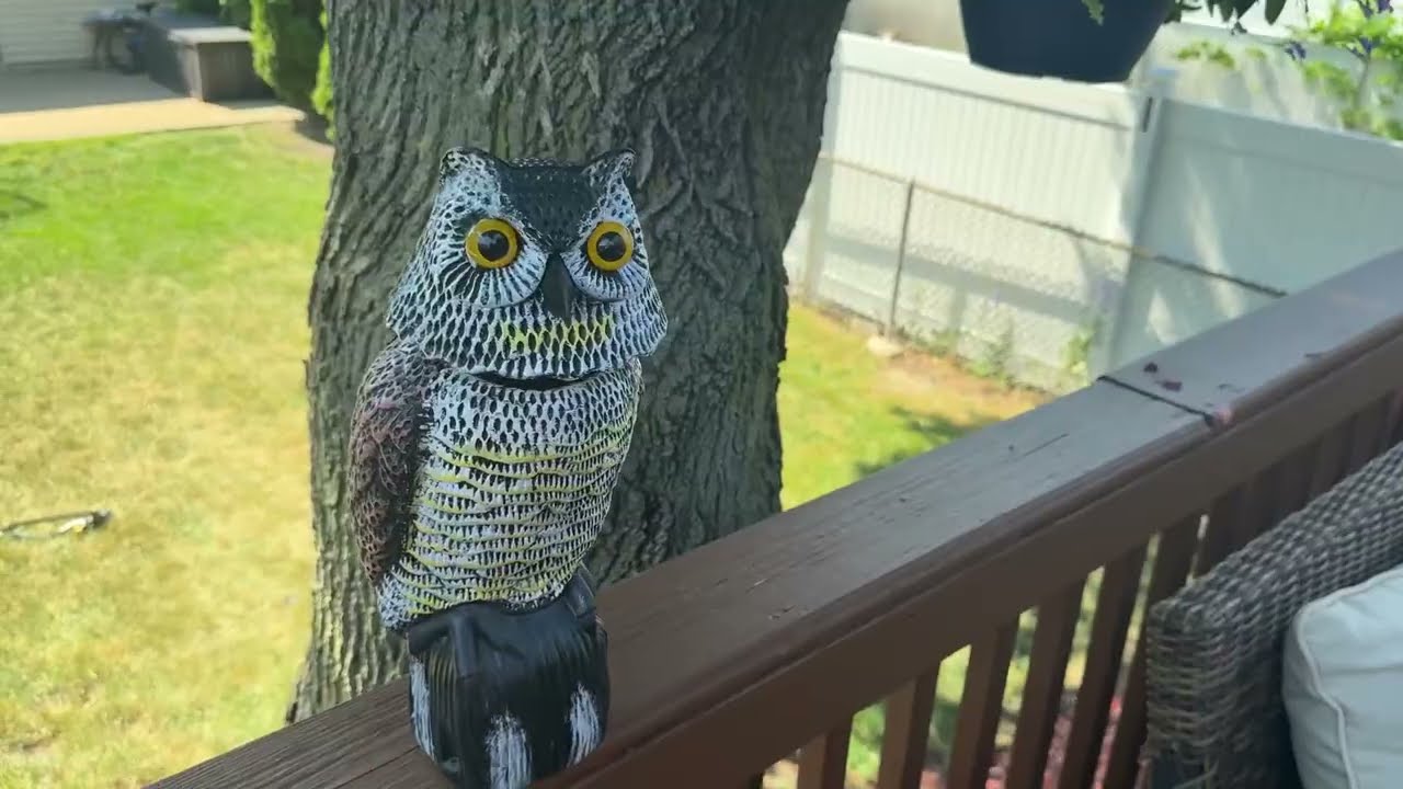Hedoc Fake Owl Decoys to Scare Birds Away, Rotating Head Sculptures, Nature Enemy Scarecrow Plastic
