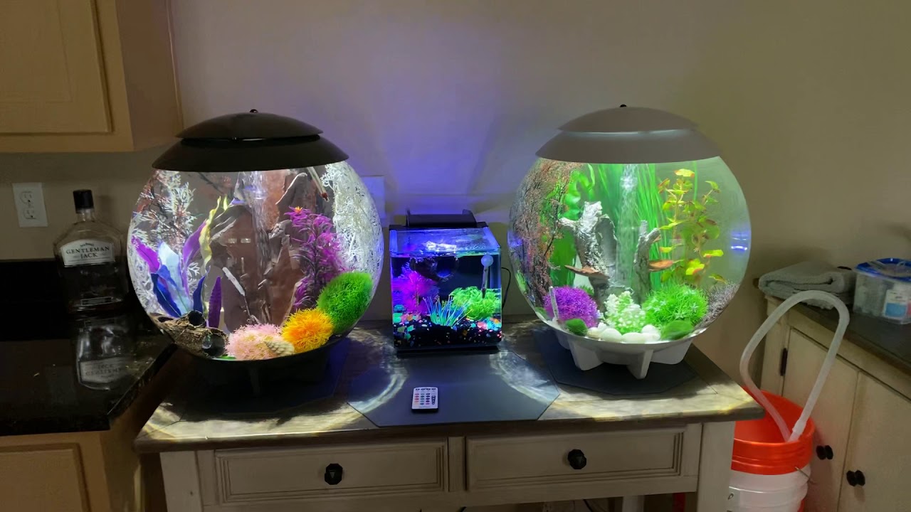 BiOrb Halo Aquariums