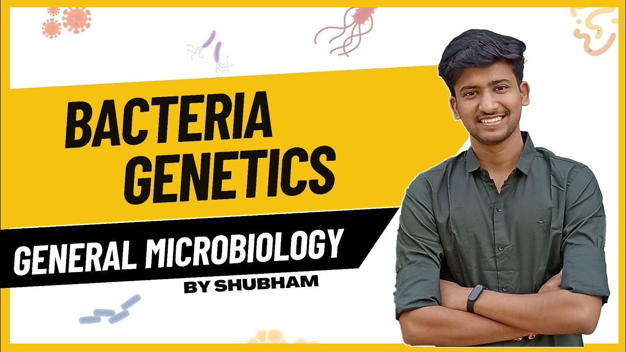 Bacterial Genetics || General Microbiology || Second Year MBBS || Microbiology || Ashish