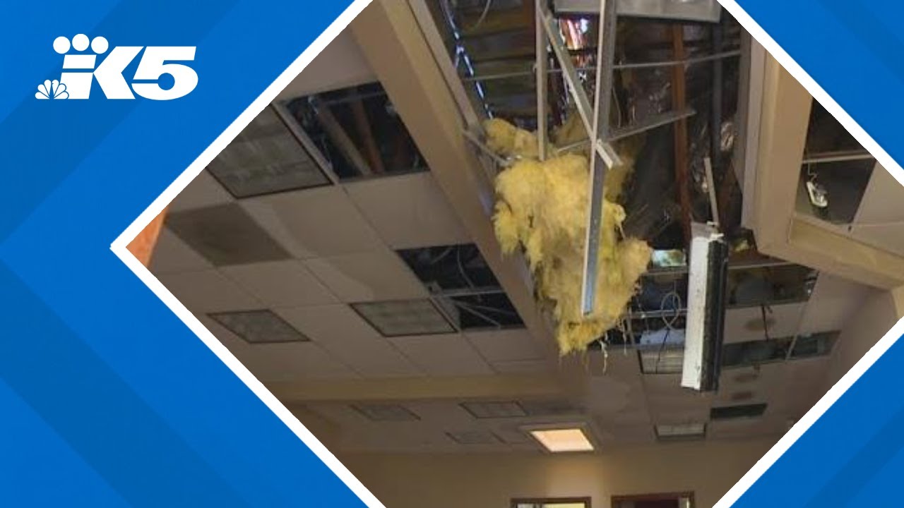 Issaquah residents, business owners starting to see extent of destruction from bomb cyclone