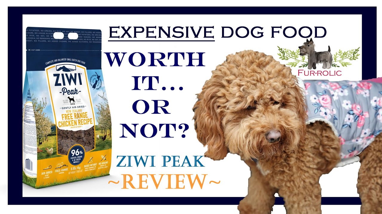ZiwiPeak Dog Food Review!