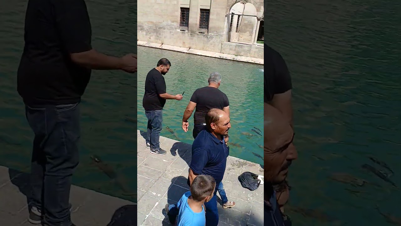 fish lake  - Bàlikligol- Salinurfa