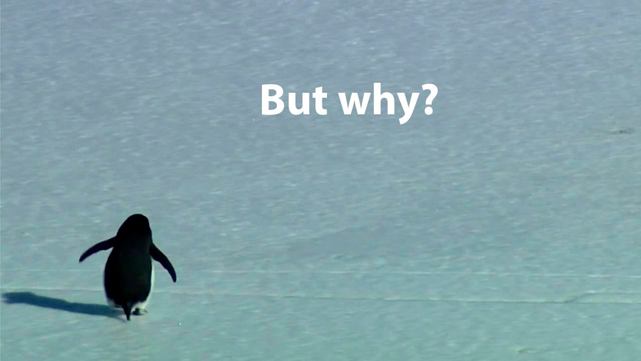 1 HOUR of The Wandering Penguin Song (Gigi D'Agostino L'amour Toujours Organ Slowed Version AKA)