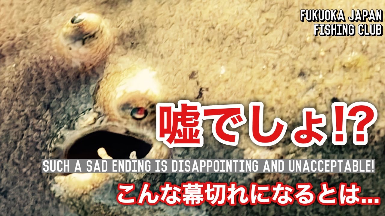 【福岡釣部 by 日課釣行2日目】130 これはどうにもなりません😭日課の博多湾シーバスチャレンジ2日目🎣Fukuoka Japan Fishing Club in 福岡
