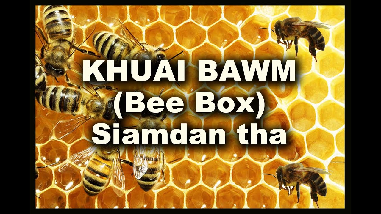 Khuai Bawm (Bee Box) siam dan tha