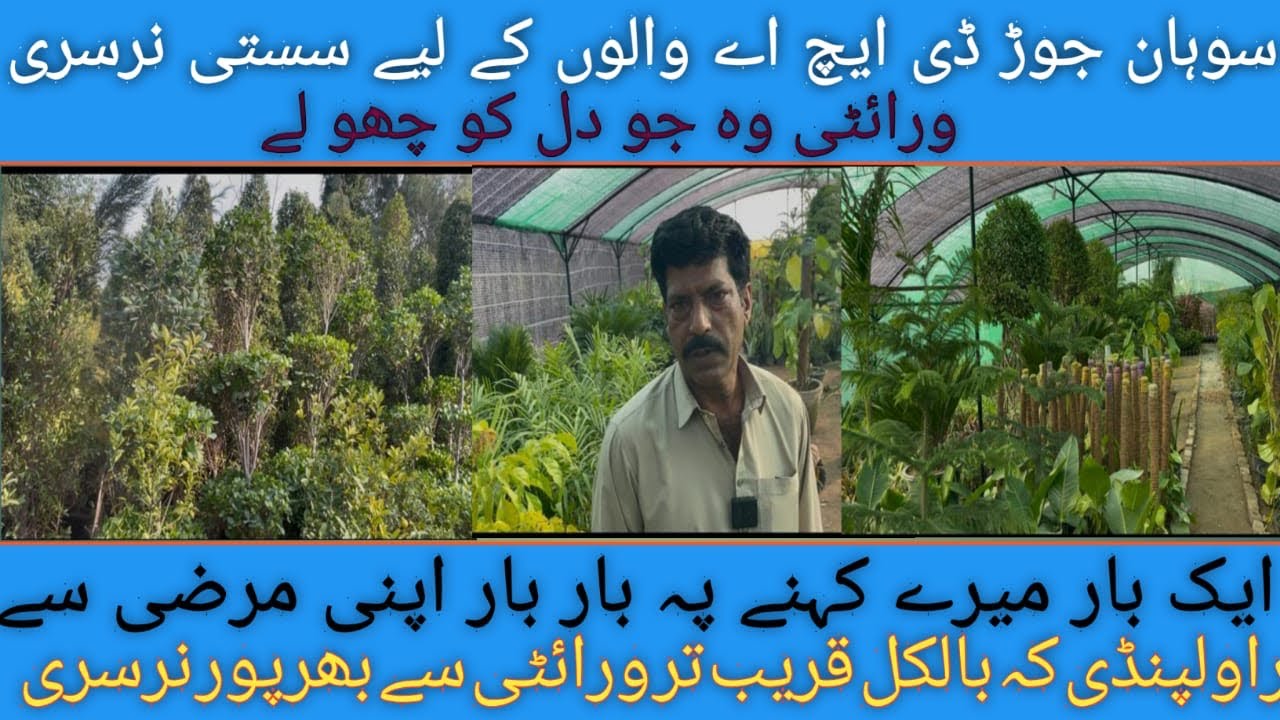 Abdullah nursery visit / indoor garden or outdoor garden Kay leya verity say bharpoor