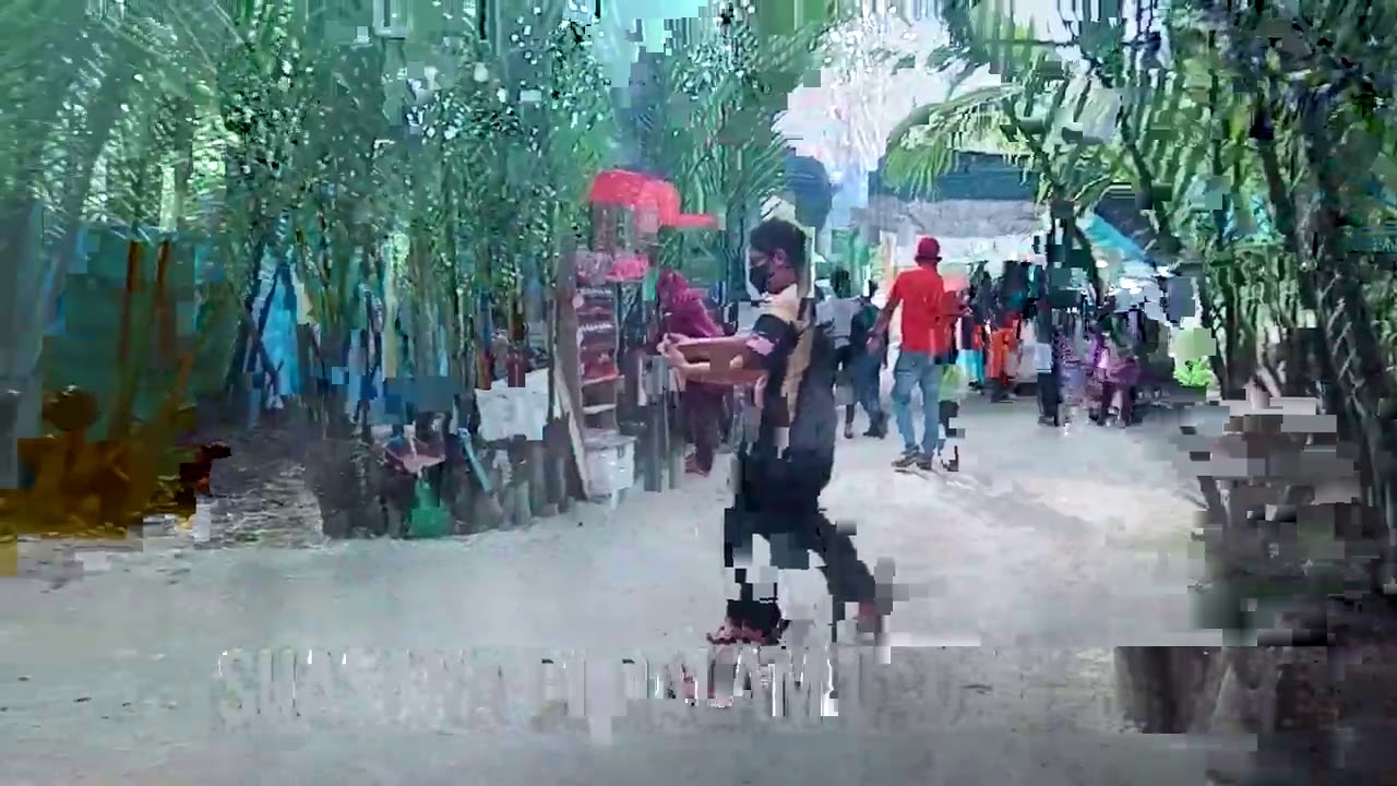 Ladang Nira Nipah Napiah Tanjung Dawai