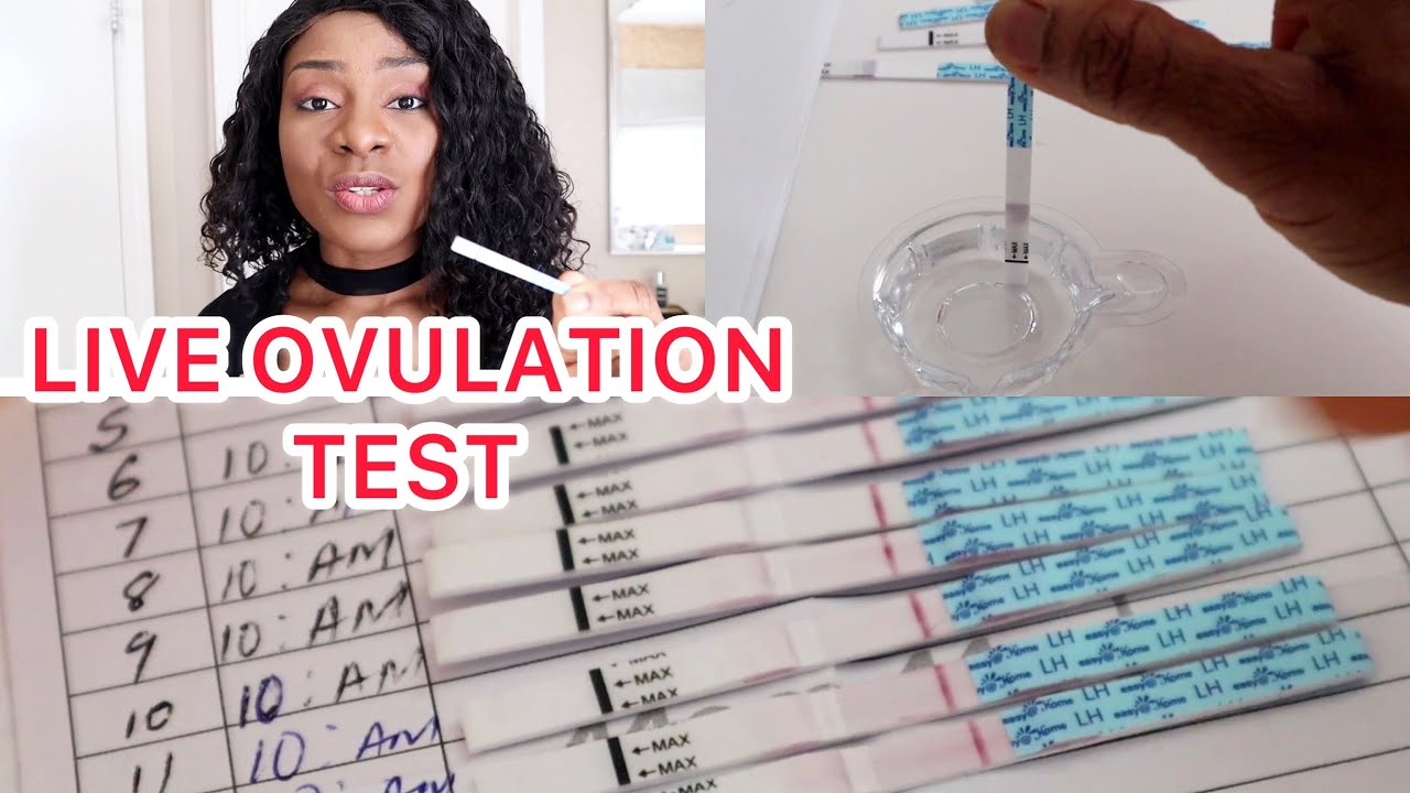 HOW TO ACCURATELY TEST FOR OVULATION AT HOME | VERY DETAILED, WELL EXPLAINED VIDEO