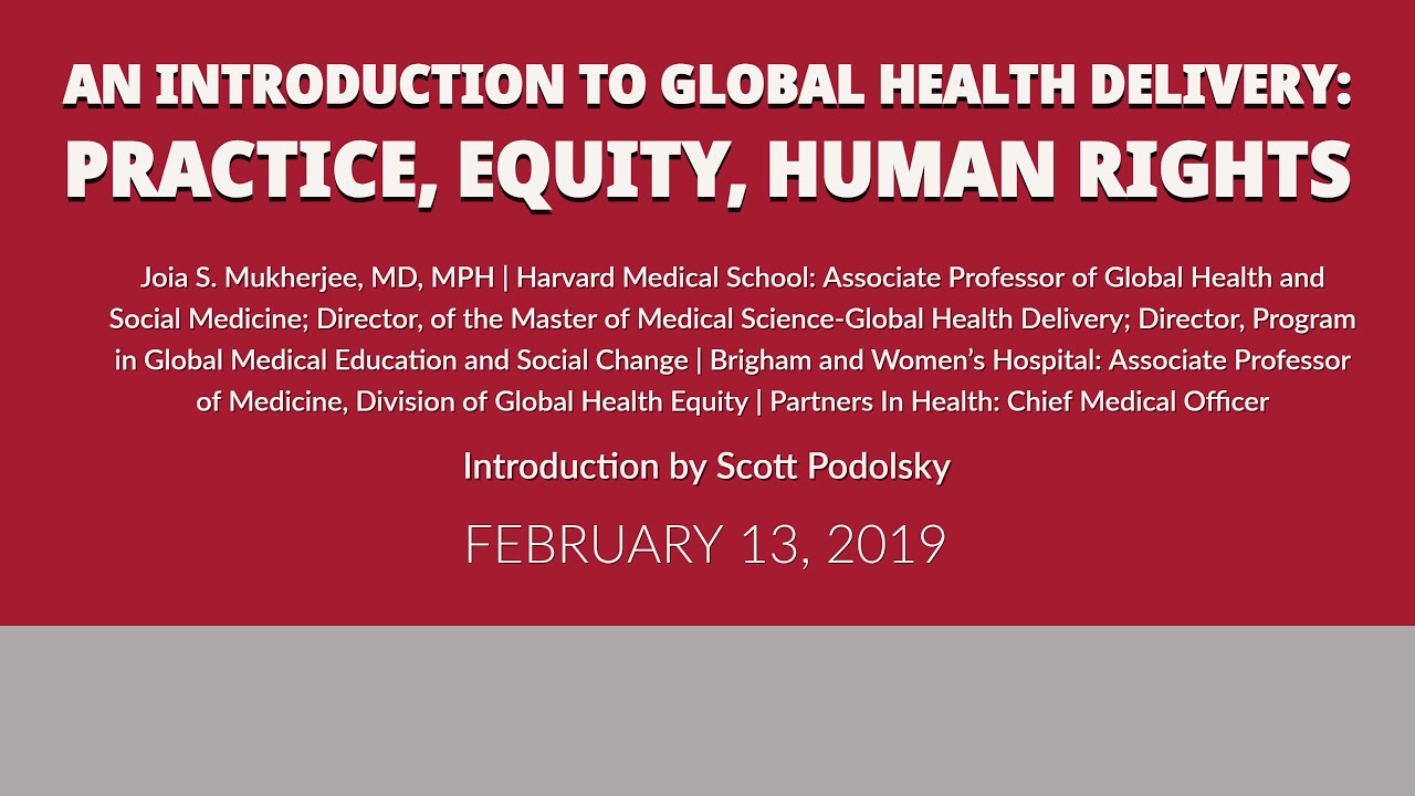 An Introduction to Global Health Delivery: practice, equity, human rights