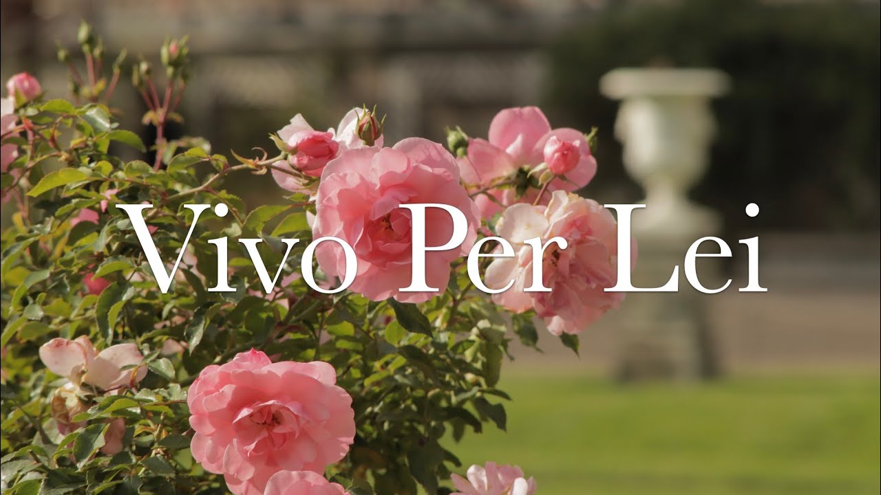 Vivo Per Lei - Instrumental (Cello, Violin) with Lyrics