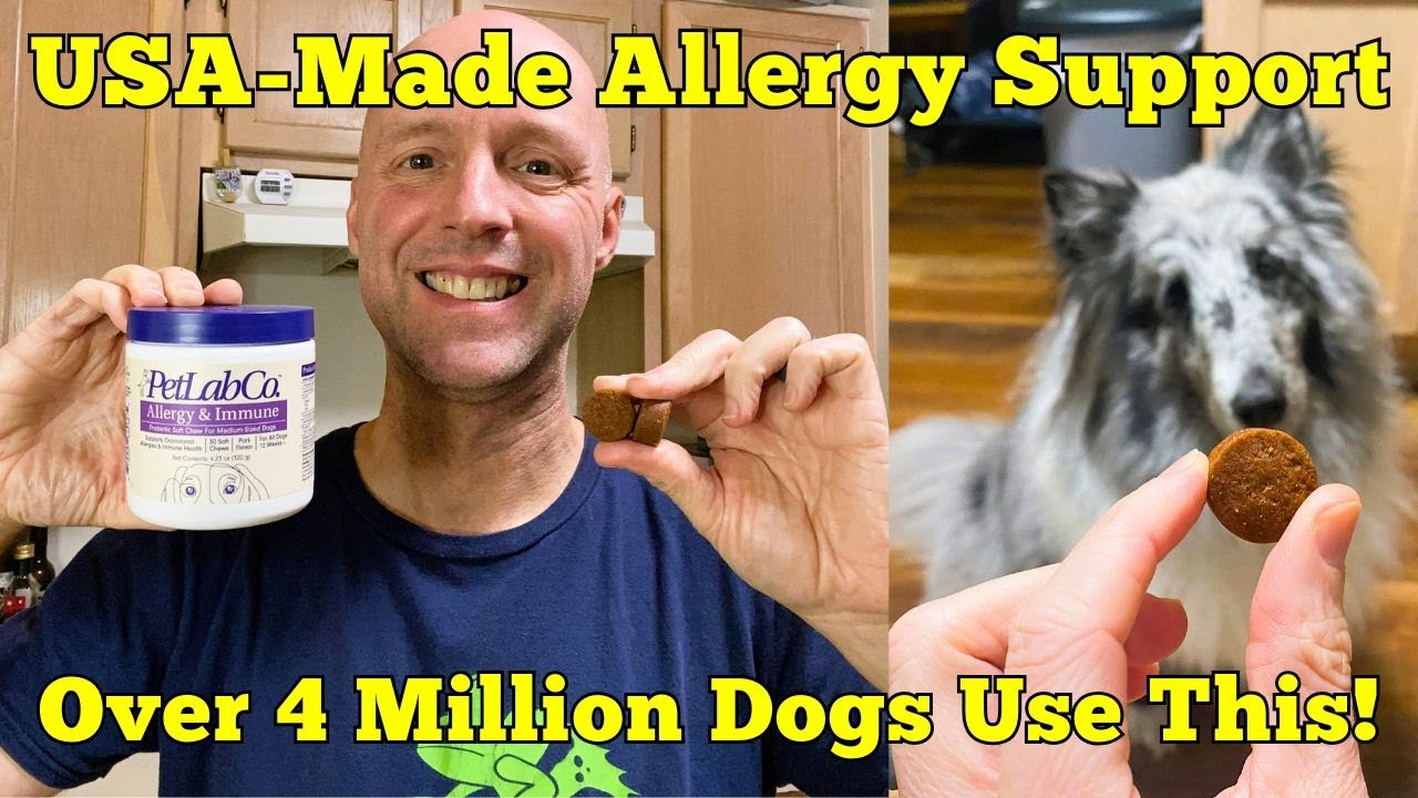 PetLab Co. Dog Probiotics Review &ndash; USA-Made & Allergy-Approved!
