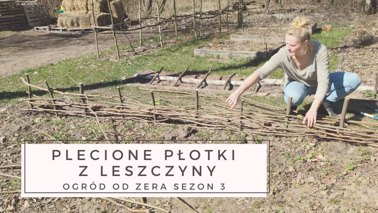 Leszczynowy płotek [Ogród od zera s03]