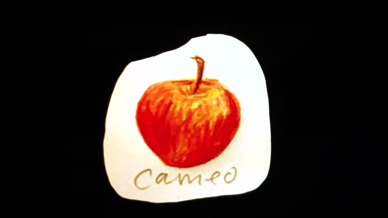 Railcard - Cherry Plum