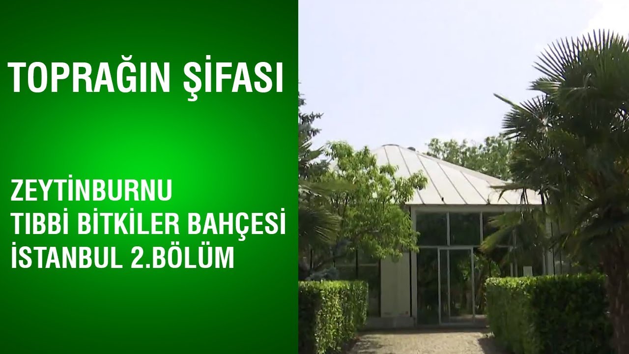 Toprağın Şifası - Zeytinburnu Tıbbi Bitkiler Bahçesi / İstanbul 2.Bölüm