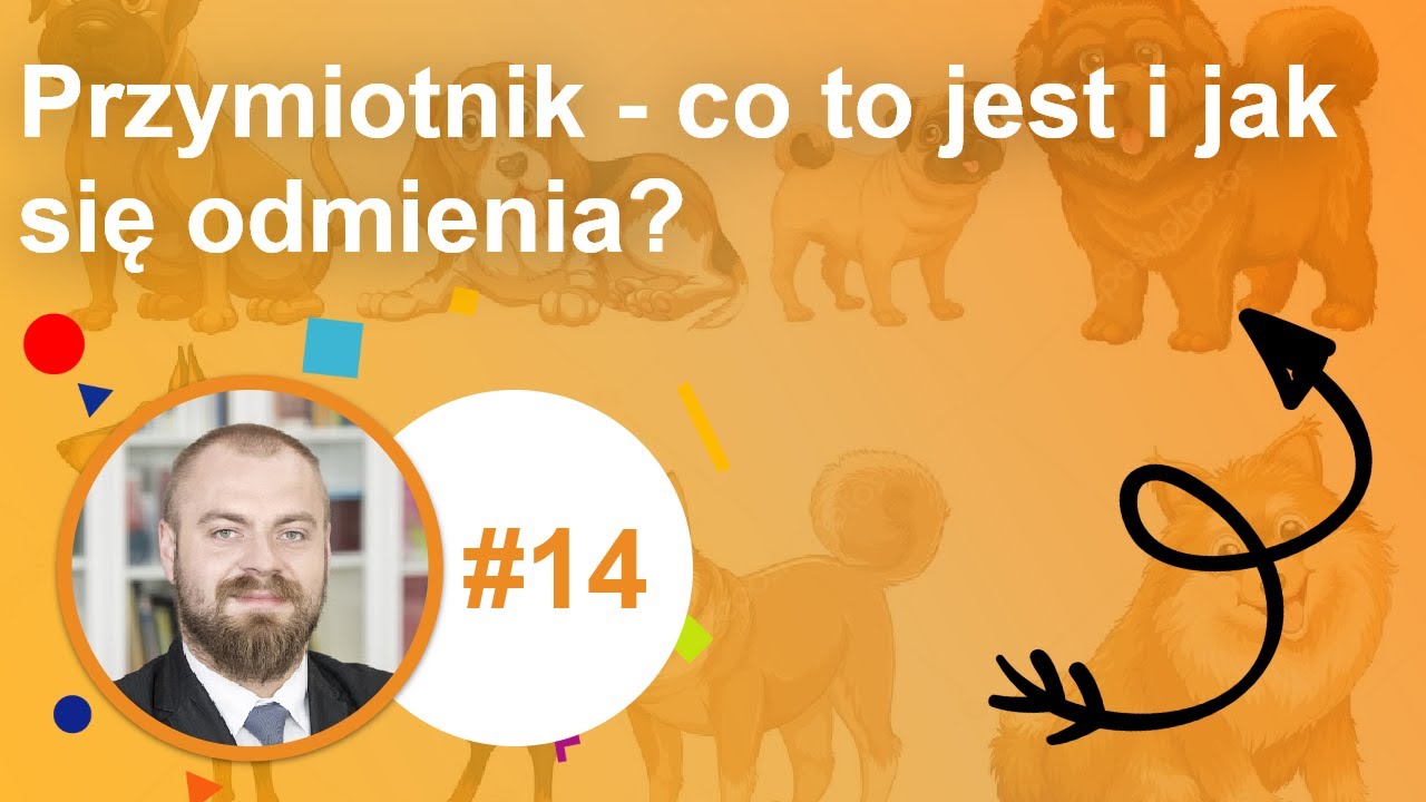 Przymiotnik - co to jest i jak się odmienia?