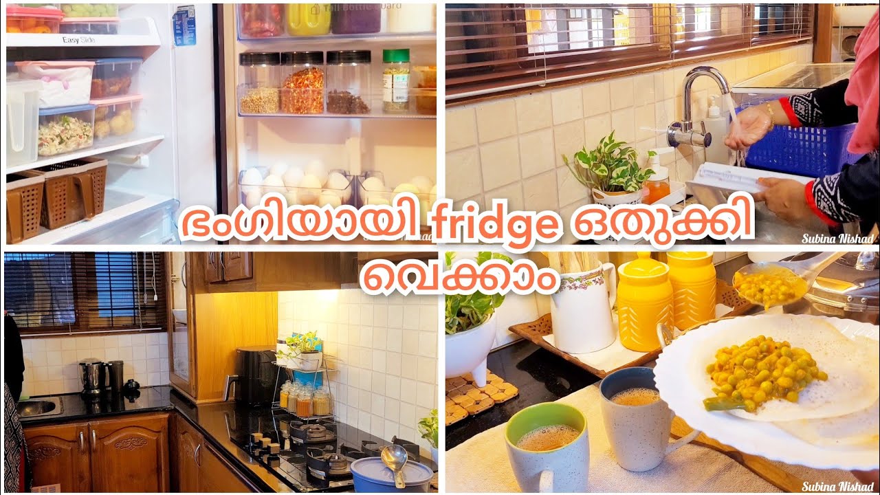 Fridge Cleaning And Organization | Fridge Organization Products | Malayalam | Subina Nishad