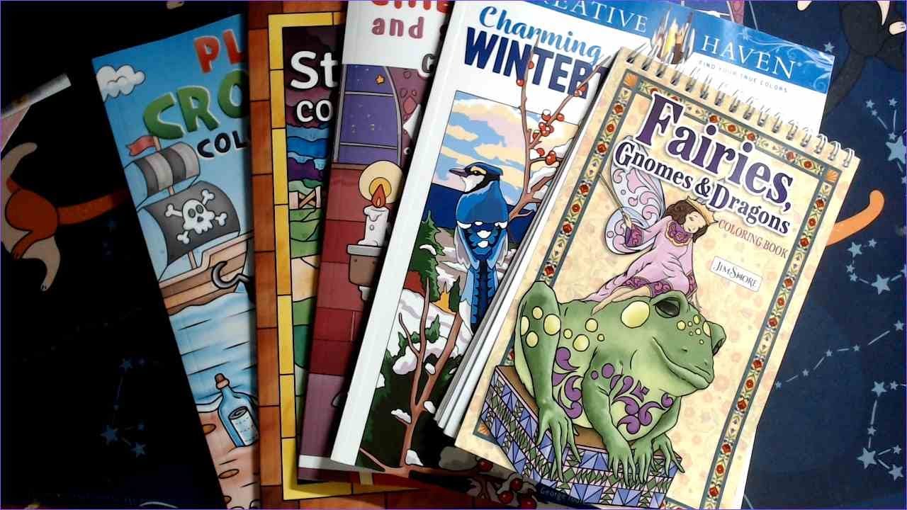 Flips - Fairies, Gnomes & Dragons, Wintertime Scenes CBN, and Sachin Sachdeva Books