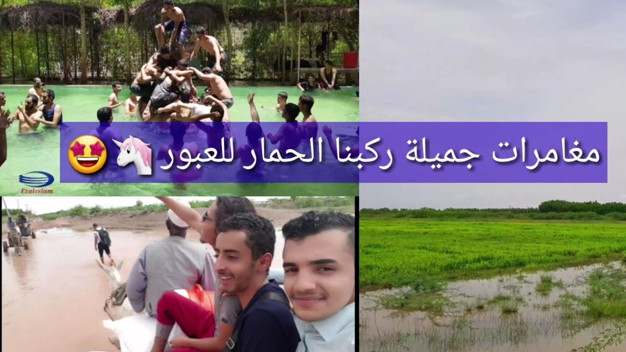 رحلة الطلاب اليمنيين لإحدى المزارع الجميلة في السودان( مغامرات ورقص وركبنا الحمير 🦄😂)