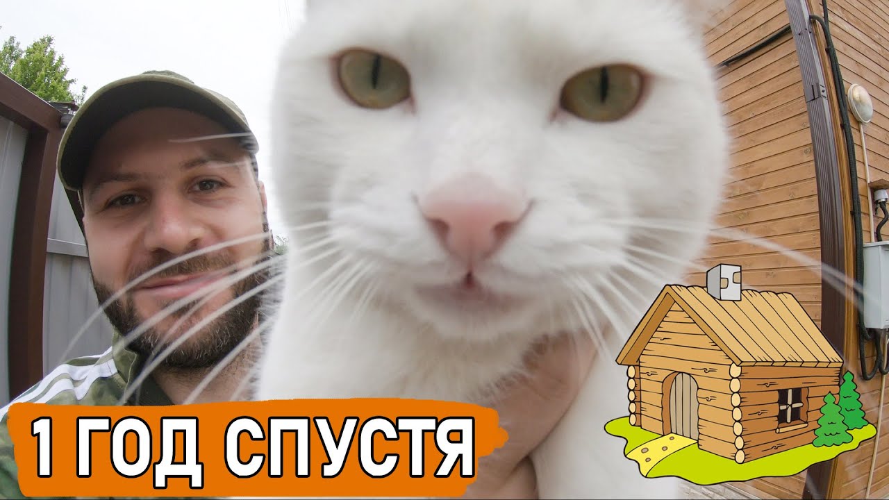 В гостях у Марти. Мой дом спустя 1 год