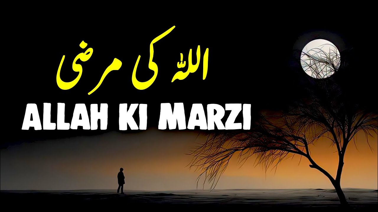 ALLAH Ki Marzi | Beautiful Spiritual Quotes | Listen the Islam Q.K