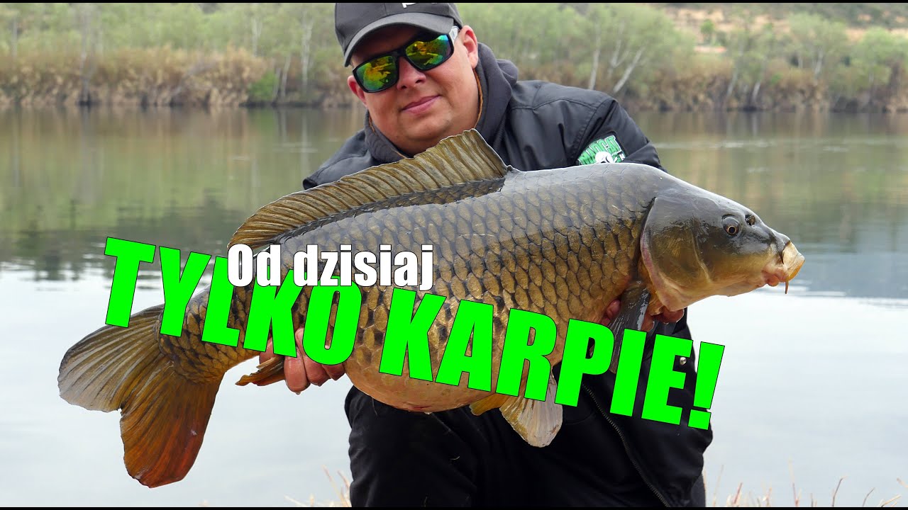 Jak zostałem karpiarzem nad Rio Ebro  Tarragona, sandacz, szczupak, sum, Wędkarski Vlog 35