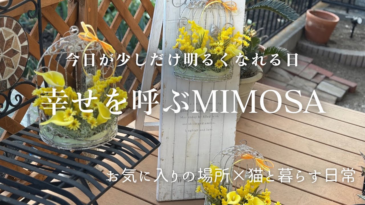 「幸せを呼ぶミモザ」今日が少し明るくなれる日／お気に入りの場所へ灯す空間