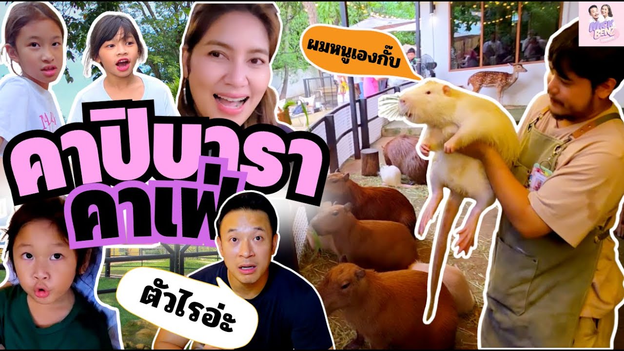 คาปิบารา คาเฟ่ แต่เจอหนูเท่ๆ ตัวใหญ่มากกก