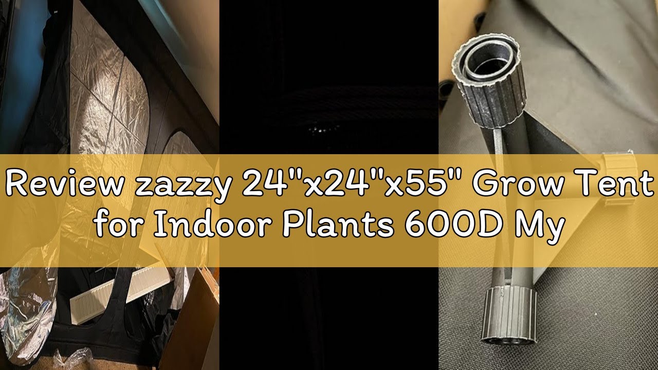 Review zazzy 24