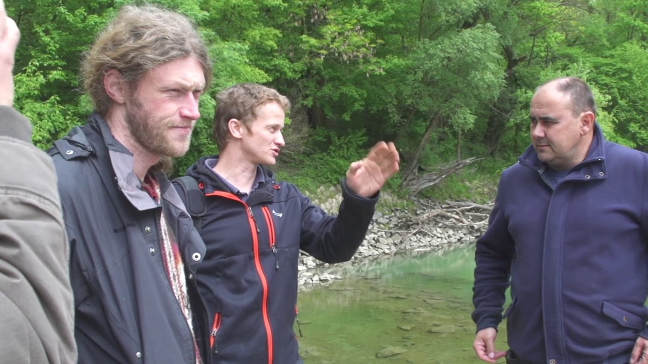 Revitalizacia Karloveskeho ramena Dunaja