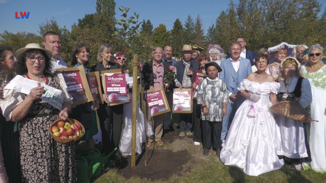 D&ouml;llingen - 30.Niederlausitzer Apfeltag - LAUSITZWELLE