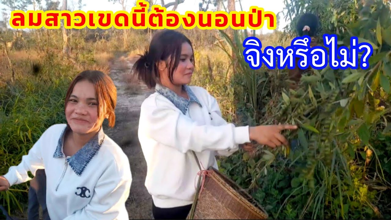 Ep.61.สาวอาแต่ไม่เคยนอนป่าชอบคนที่รักเดียวใจเดียว 31 มกราคม ค.ศ. 2026