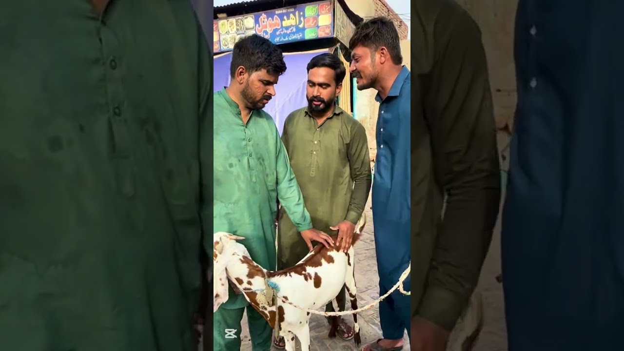 فری میں جانور لوٹنے والا بھائی کمیشن کے نام پر بہت بڑا فراڈ