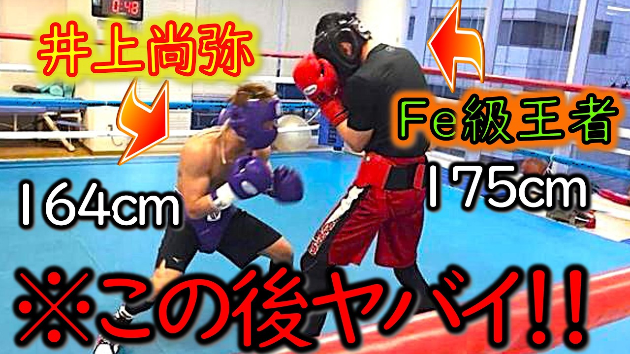 【驚愕スパー!!】井上尚弥 VS フェザー級王者｜“最新版・階級の壁”｜スパーリング｜ボクシング解説【激戦区】
