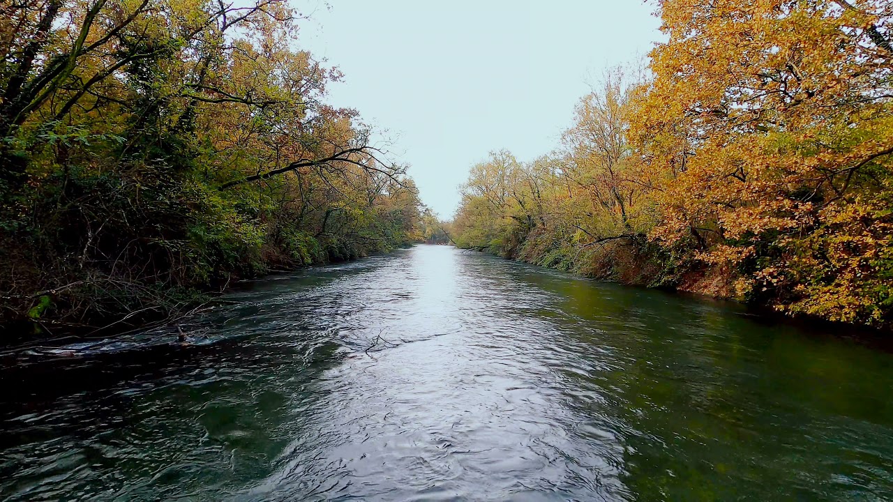 #4kvideo #river #forest #nature #relaxing #sleepingmusic #sound  #water #clipsentertainment